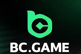 Exploring BC.Game Bonuses and Promotions