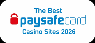 Online Casino Paysafe En Guide til Sikker Spiloplevelse 327470160