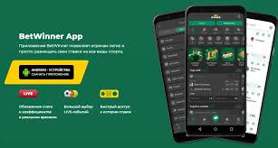 BetWinner Online Sportsbook Your Ultimate Betting Experience 431855426