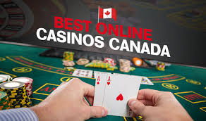 Discover the Best Online Gambling Sites in 2026 Discover the Best Online Gambling Sites in 2026