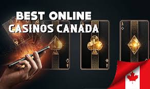 Top Online Casino Slots Your Guide to Winning Big Top Online Casino Slots Your Guide to Winning Big