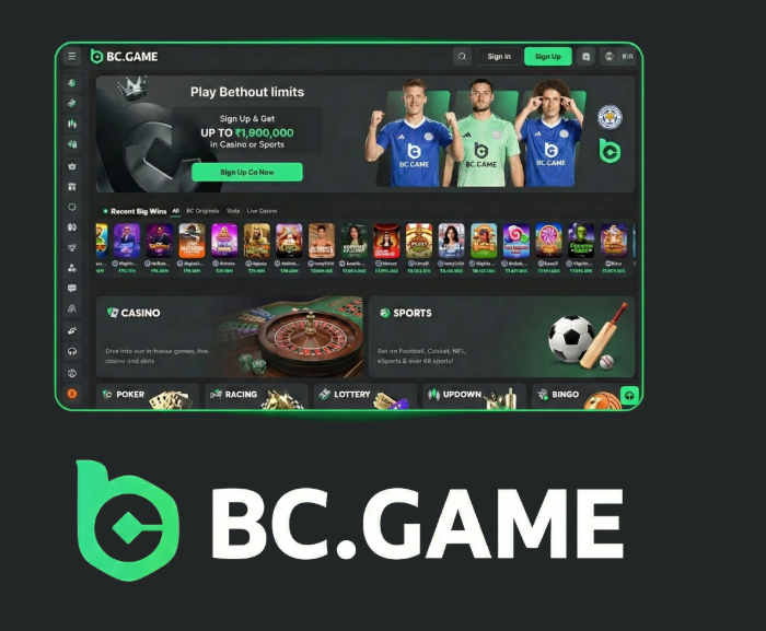Understanding the BC.Game Registration Process A Step-by-Step Guide Understanding the BC.Game Registration Process A Step-by-Step Guide